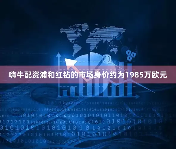 嗨牛配资浦和红钻的市场身价约为1985万欧元