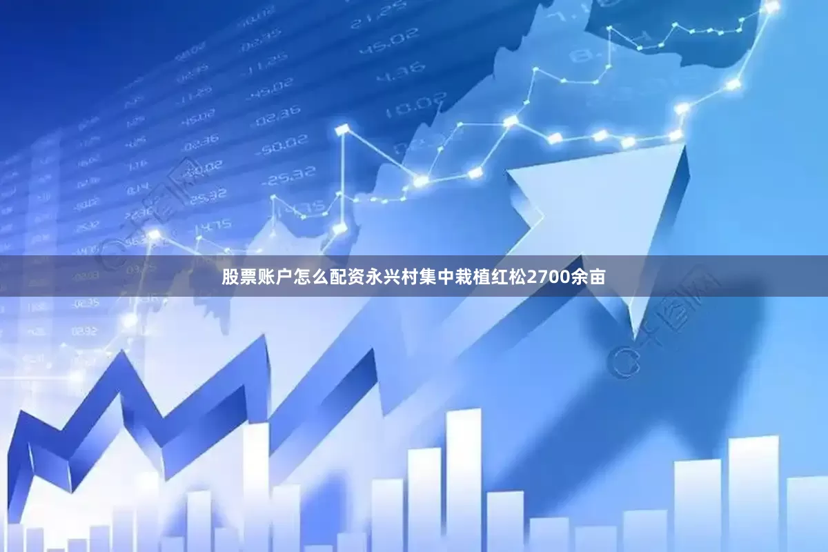 股票账户怎么配资永兴村集中栽植红松2700余亩