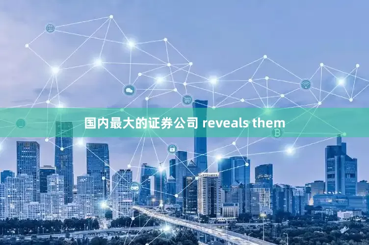 国内最大的证券公司 reveals them