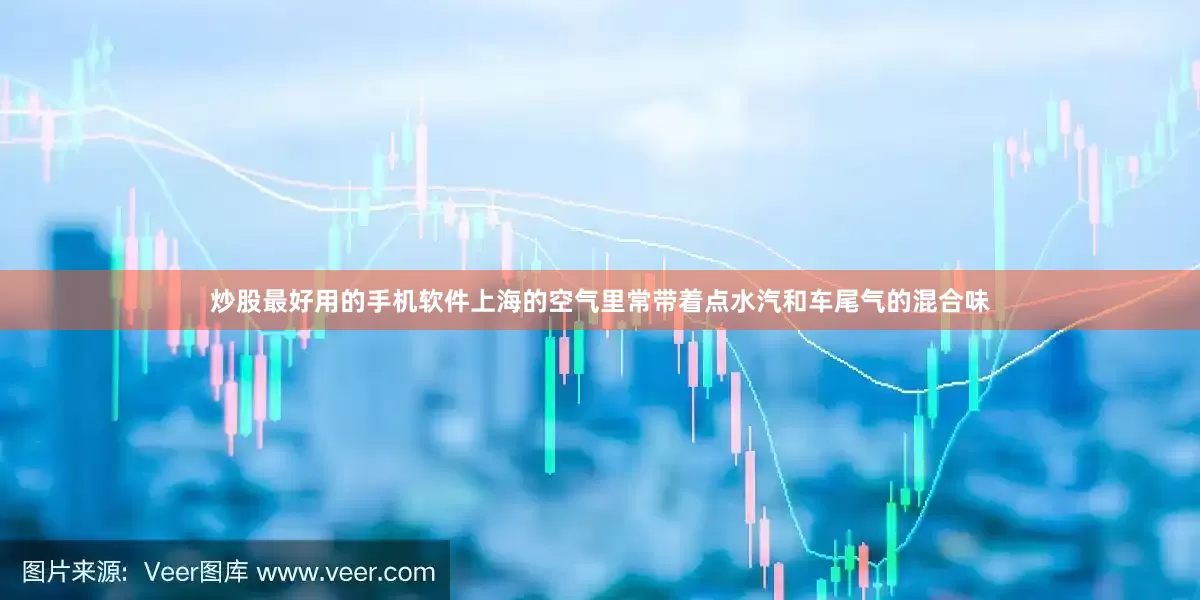炒股最好用的手机软件上海的空气里常带着点水汽和车尾气的混合味