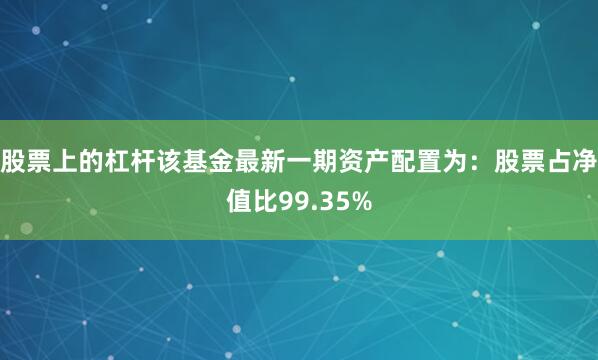 股票上的杠杆该基金最新一期资产配置为：股票占净值比99.35%