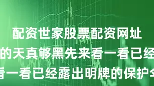 配资世家股票配资网址查询西港的天真够黑先来看一看已经露出明牌的保护伞们