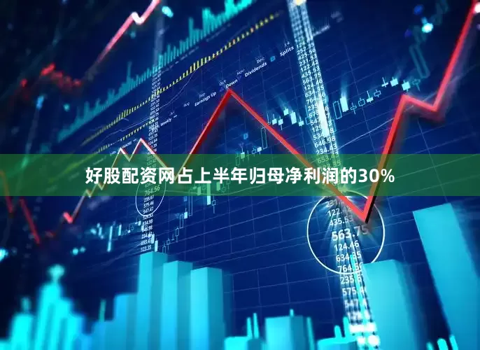 好股配资网占上半年归母净利润的30%
