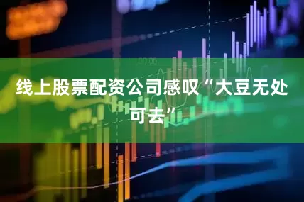 线上股票配资公司感叹“大豆无处可去”