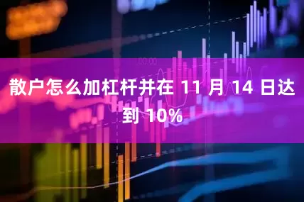 散户怎么加杠杆并在 11 月 14 日达到 10%