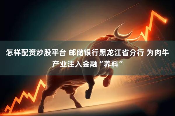 怎样配资炒股平台 邮储银行黑龙江省分行 为肉牛产业注入金融“养料”